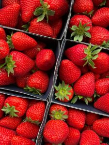 a close up of many boxes of strawberries